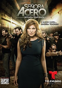 Lady of Steel Season 1 (2014), Watch Full Episodes Online on TVOnic