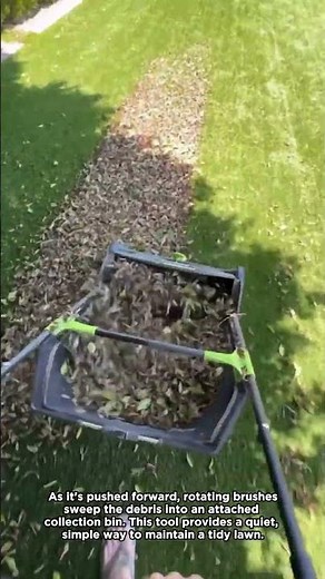 A Manual Lawn Sweeper in Action