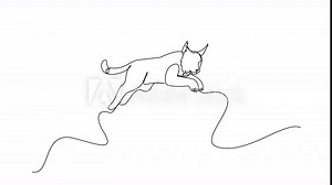 Animation of continuous line drawing of a lynx jump leaping forward, composed in a single elegant stroke to emphasize agility and strength for International Lynx Day. Full length motion