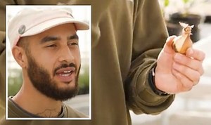 Horticulturist shares tips for planting bulbs in containers