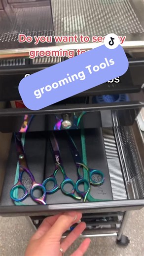 Grooming Tools for Dog Groomers | Must-Have Essentials