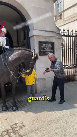 Royal Guard Shows Unexpected Kindness to a Special Kid