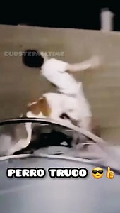 Perro Truco 😎👍 | Dubstep