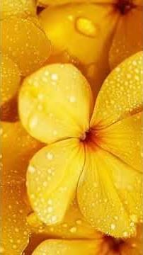 Flowers in Rainfall | 1 Minute Relaxation & Mindful Meditation