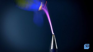 138K views · 4.7K reactions | It's the plant that's making all that noise -- but how is it doing it?  Watch a new episode of #StrangeEvidence TONIGHT at 9p on Science Channel! | Science Channel | Facebook