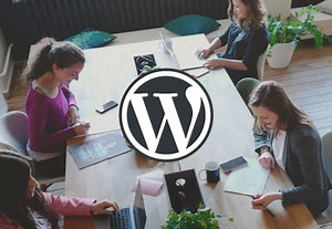 25 Best Premium and Free WordPress Coworking Themes for 2025 | Envato Tuts