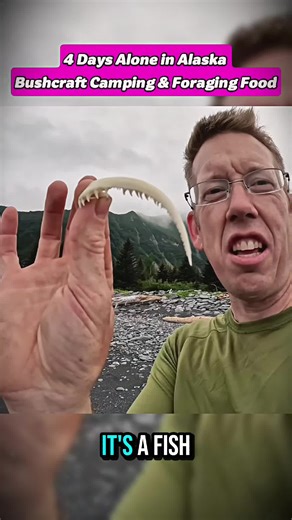 Bushcraft Camping and Foraging in Alaska: 4 Day Adventure