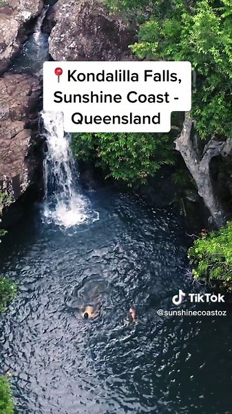 Exploring Kondalilla Falls, Sunshine Coast - Queensland