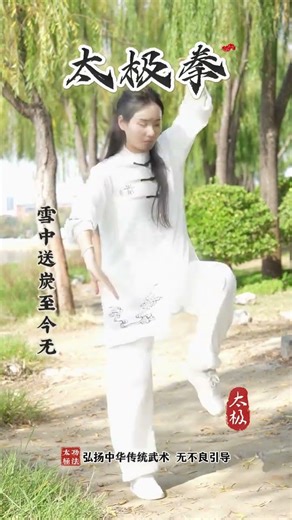 Teach You Tai Chi in One Minute: Simple Movements for Health