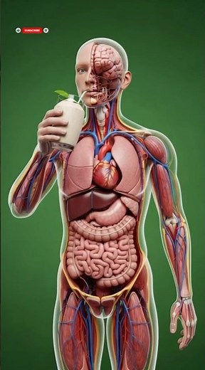 What Happens to Your Body When You Drink Coconut Water Every Day? #3danimation #biology