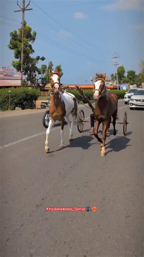 Ghodagadi Sharyat Kolhapur❤️‍🔥🔥😱 #viral #reels #horse #funny #bakasur #explore #facebook #insta