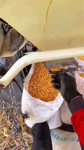 MAXXI ||#automobile #kombi #kombisawah #maxxibimo102standar #maxxibimoterbaru #combineharvester