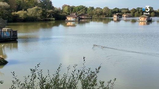 Le village Flottant de Pressac, dans le département de la Vienne au sud de Poitiers. C’est un lieu insolite et ici les maisons sont sur l’eau. 🚣‍♂️ "Tous les Chemins Mènent à Vous" vous invite à cette découverte. Sud Vienne Poitou Tourisme en Vienne 86, Pays du Futuroscope Village Flottant | France 3 Nouvelle-Aquitaine