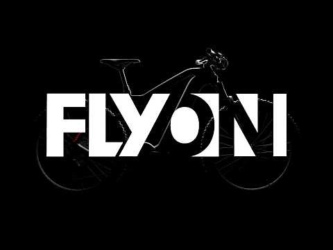 FLYON: Haibike ePerformance System