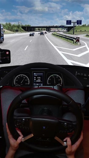 Euro Truck Simulator 2 feels so realistic sometime #shorts #ets #promods