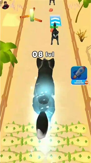 wolf run evolution gameplay | wolf run evolution 3d gameplay | wolf run evolution 3d all level |