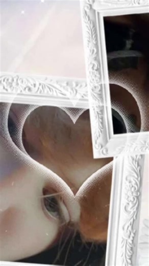 Gwy wolf (@cherokeewolf2)’s videos with Powwow Song - The Bearhead Sisters