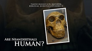 Biblical Genetics Episode 4: Are Neanderthals Human? - Biblical Genetics - Patterns of Evidence Foundation (Patterns+)
