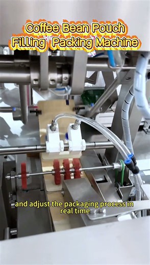From Whole Bean to Gusset Bag – Coffee Bean Premade Pouch Packing Line in Action.