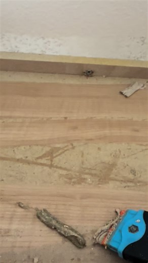 Duster&Daisy Green Clean on TikTok