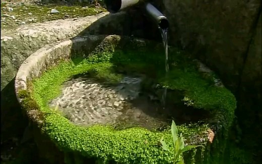 NHK纪录片之 日本里山 神秘花园