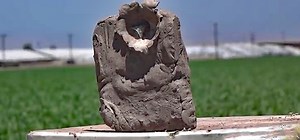 Watch: Shotgun Shells Loaded With Cereal - AllOutdoor.com