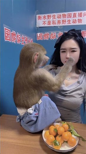 The monkey is really considerate 😄#money #animals
