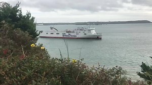 1.5K views · 47 reactions | Brittany Ferries Connemara arrives Cork Harbour | SailCork.com | Facebook