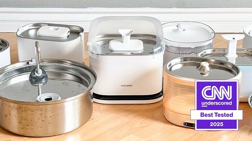 The best pet water fountains for cats and dogs in 2026, tried and tested | CNN Underscored