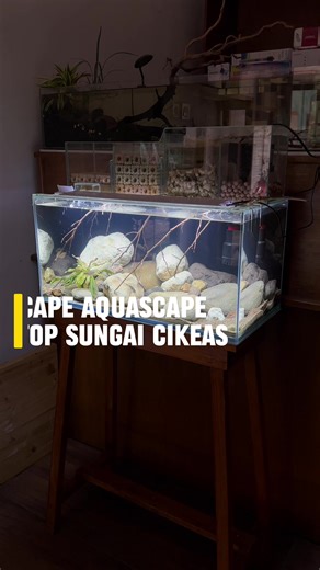 Iseng main ke kali, batu nya bagus bagus. Yaudh mimin bikin buat rescape tank kecil mimin itu guys. Gmn menurut kalian? Tolong jangan di bully yah 😣 Kali ini ga bikin video tutorial nya yaa. Spill tank aquascape terbaik kalian dong !! #aquarium #aquascape #ikanhias #fyp #fishtok