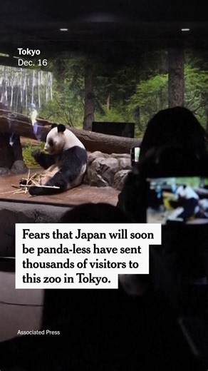When Ueno Zoo in Tokyo announced this week that its most famous residents, Xiao Xiao and Lei Lei — twin 4-year-old giant pandas on loan from China — would go home in late January, thousands of people descended on the zoo. Japan would soon be panda-less for the first time in more than half a century. #panda #Japan #China #Taiwan