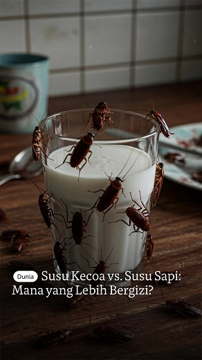 Susu kecoa berasal dari spesies kecoa unik, Diploptera punctata, satu-satunya jenis kecoa yang berkembang biak dengan melahirkan. Kecoa ini menghasilkan kristal protein untuk memberi makan larvanya, yang telah menarik perhatian ilmuwan karena potensi nilai gizinya. Kristal ini mengandung protein lengkap dengan semua asam amino esensial, serta lemak dan gula, menjadikannya sumber nutrisi yang padat. Penelitian menunjukkan bahwa energi yang terkandung dalam kristal protein susu kecoa ini tiga kali