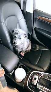 #16Cities: Always the shopper, this guy... Excited to play the brand new City Winery Washington DC! Tickets: http://bit.ly/GLWashingtonDC | Greg Laswell