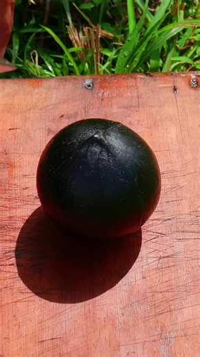 Creative Fruit Cutting Techniques