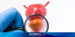 Kanker Prostat: Pengertian, Penyebab, dan Gejala