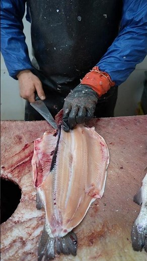 INSANE Trick to Skin a Trout in 38 Seconds | No Waste, No Mess!
