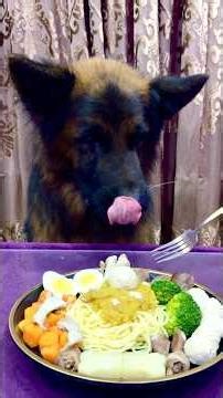 Relaxing dog ASMR sounds🐾 💜#dogasmr#asmr#dog#shorts#ytshorts #pets#sleepasmr#satisfying#animalasmr