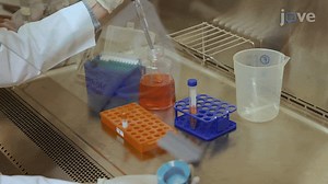 1K views | Researchers from McGovern Medical School developed a protocol that describes in vitro cultivation of Treponema pallidum, the syphilis spirochete.  Watch on JoVE: https://app.jove.com/v/66880/author-spotlight-advancing-syphilis-research-innovations-treponema?utm_source=facebook&utm_medium=social_global | Journal of Visualized Experiments (JoVE) | Facebook