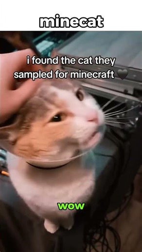 new minecraft voice actor #transition