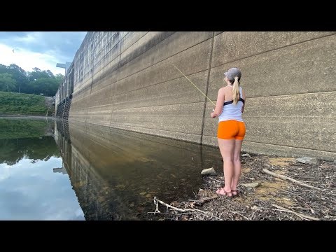 Bobber Fishing Spawning Bluegill, Then We Found Something BIGGER! (Catch and Cook)