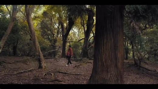 Katsuyuki Miyanishi on Instagram: "Camera Strap Master｜PGYTECH バッグいらず最強ストラップ登場！ 軽く、強く、疲れにくい。 ワンタッチで着脱できる機構も最高です✨✨ クーポン：MIYAMASTER Amazon：https://amzn.to/3LvYlT7 公式：https://bit.ly/4hsalB0"