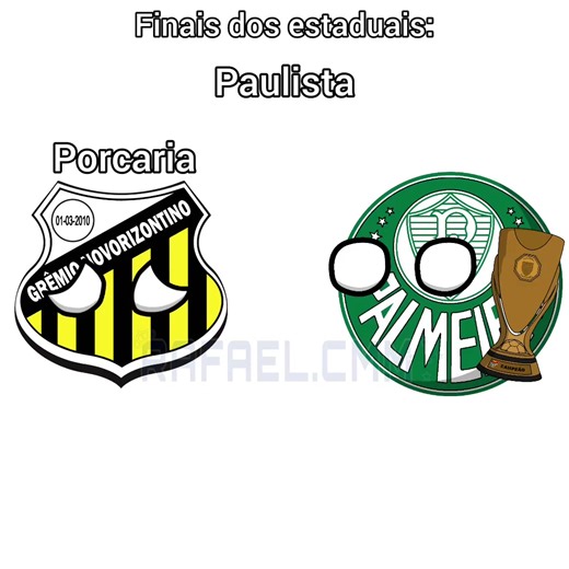 A melhor final com certeza foi o do Mineiro só por causa da briga kkkkkkk #campeonatopaulista #campeonatocarioca #campeonatogaucho #campeonatomineiro #futebol
