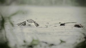 LEPROUS - Restless (OFFICIAL MUSIC VIDEO) October 2011