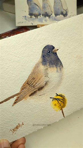 Shape into Songbird! 🐦✨ | Watercolor Bird Tutorial