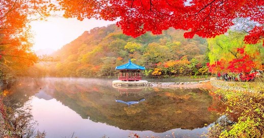 Classic Naejangsan National Park One Day Tour from Seoul - Klook