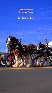 52K views · 1K reactions | We got an up-close look at these magnificent beasts yesterday, The Auction Clydesdales! Each horse stands about 19 hands tall and weighs about 2200 pounds! Bart Long & Associates Realty & Auction, LLC | Radio Greeneville | Facebook