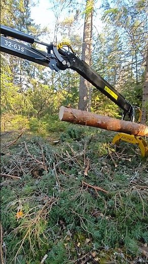 valmet 6300 hitrol with igland 380. weimer vinch