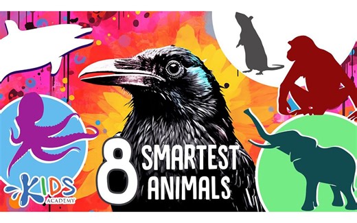 8 Smartest Animals in the World. Learn Animals for Kids - Kids Academy
