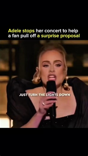 Adele Stopped Her Concert for This Proposal