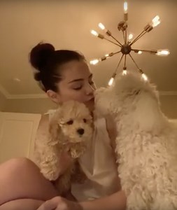 Selena Gomez Introduced Instagram to Her New Puppy Daisy
